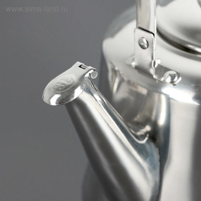 Чайник из нержавеющей стали &laquo;Чайковский&raquo;, 3 л, цвет хромированный