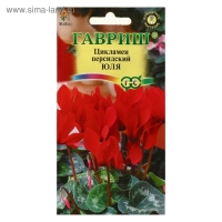 Семена цветов Цикламен "Юля", 3 шт. Семена цветов Цикламен "Юля", 3 шт.