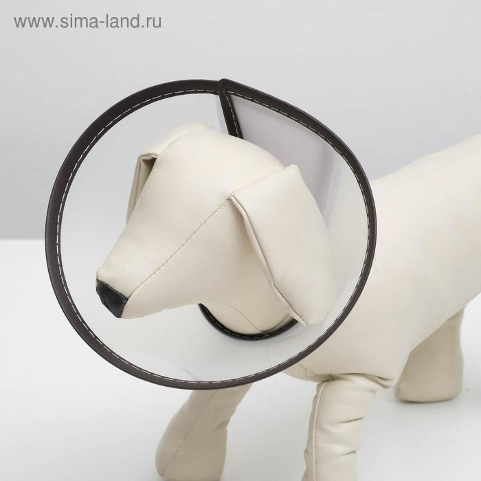 Ветеринарный воротник "Пижон Premium" №9, обхват шеи 44,5 см, высота 24,5 см