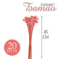 Сухоцвет &laquo;Батао&raquo; набор 20 шт., цвет красный