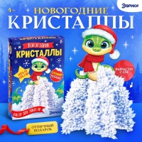 Набор для опытов &laquo;Новогодние кристаллы&raquo;, со змеей