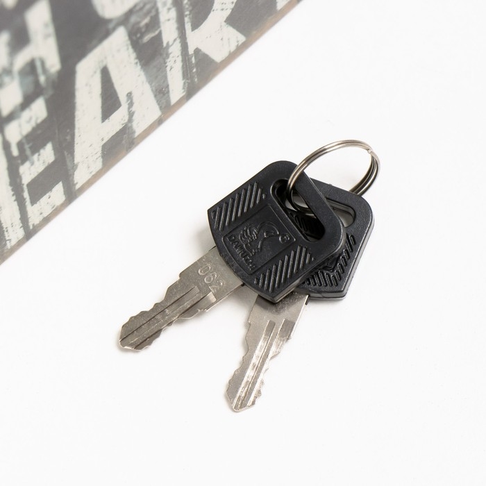 Шкатулка книга пластик, металл Шкатулка книга пластик, металл "Люби всем сердцем" 5,5х12х18 см