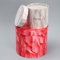 Набор шляпных коробок 5 в 1, упаковка подарочная, &laquo;Перья&raquo;, 13 х 14 ‒ 19.5 х 22 см