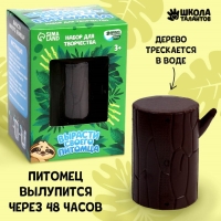 Набор для творчества &laquo;Вырасти своего питомца&raquo; Ленивец