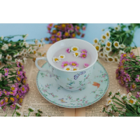 Чайная пара керамическая Доляна &laquo;Пелагея&raquo;, 2 предмета: чашка 220 мл, блюдце d=14 см