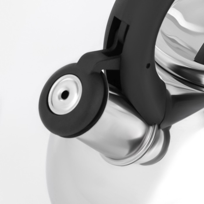 Чайник со свистком из нержавеющей стали Доляна &laquo;Квант&raquo;, 2,8 л, фиксированная ручка, цвет хромированный