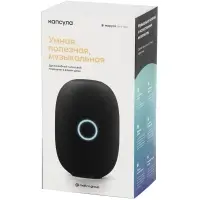 Умная колонка &laquo;Капсула&raquo; с помощником &laquo;Маруся&raquo;, черная
