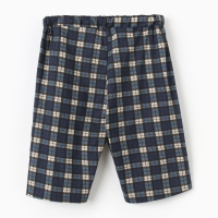 Шорты пижамные мужские, цвет синий/клетка, размер 54