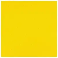 Лейбл тканевый Epsilon, L, желтый