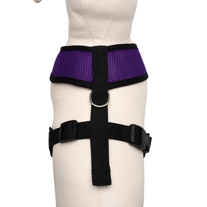 Шлейка мягкая из неопрена, размер L, ОШ 39 см, ОГ 36-46 см, фиолетовая Шлейка мягкая из неопрена, размер L, ОШ 39 см, ОГ 36-46 см, фиолетовая