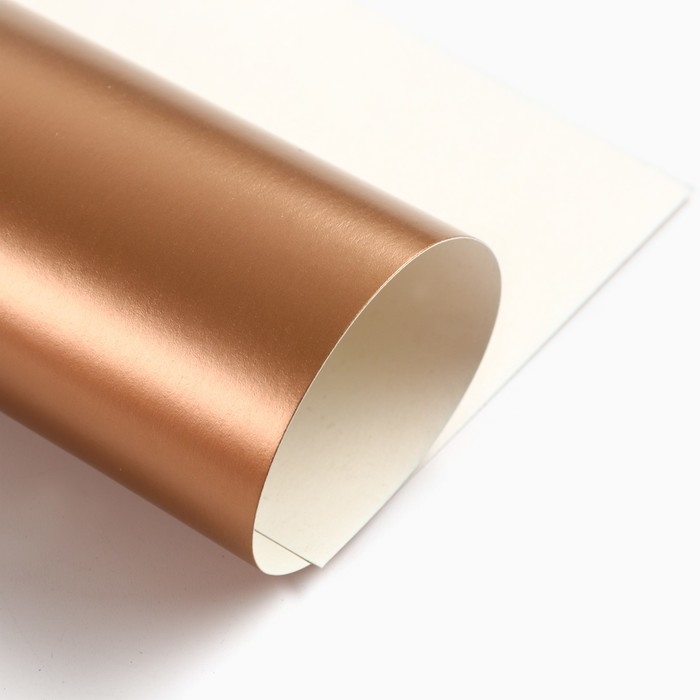 Картон цветной, А4, 10 листов, 10 цветов, мелованный, односторонний, в папке, 240 г/м&sup2;, Смешарики