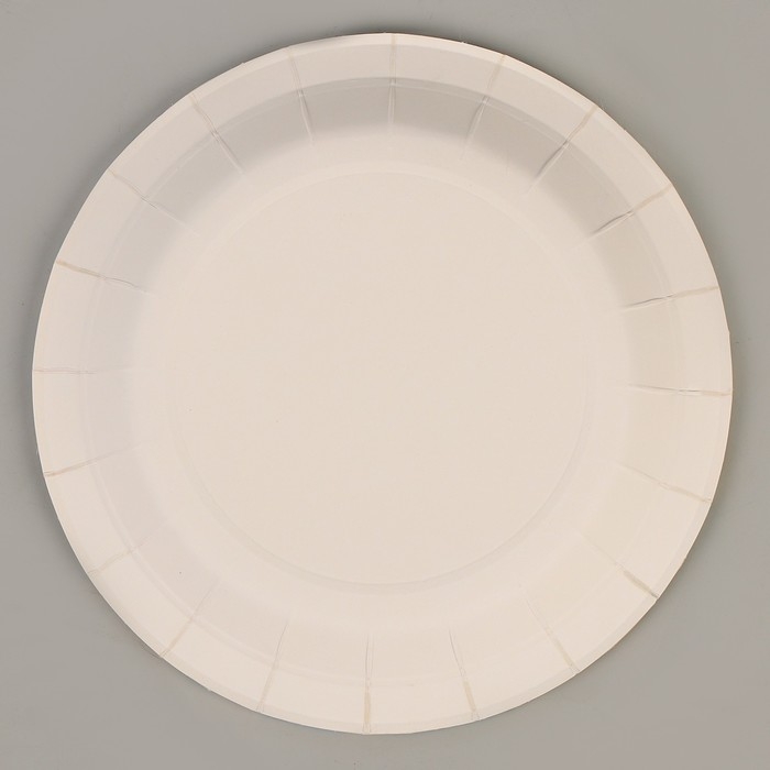 Тарелки бумажные, 6 шт.