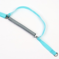 Прыгунки №1, 2в1 &laquo;Ёжики&raquo; (прыгунки, качели, тарзанка)