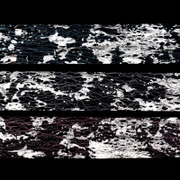 Паутинка с фольгой для ногтей, переводная, 20 х 10 см, 6 шт, в пластиковом органайзере, цвет разноцветный/серебристый Паутинка с фольгой для ногтей, переводная, 20 х 10 см, 6 шт, в пластиковом органайзере, цвет разноцветный/серебристый