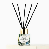 Новый год! Аромадиффузор ароматический палочки &laquo;Новогодняя коллекция: Зимний&raquo;, 50 мл