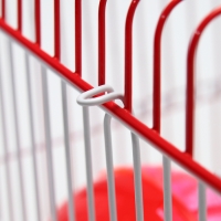 Клетка для грызунов укомплектованная RT-2q, 22 х 16 х 20 см, красная (фасовка 30 шт) Клетка для грызунов укомплектованная RT-2q, 22 х 16 х 20 см, красная (фасовка 30 шт)