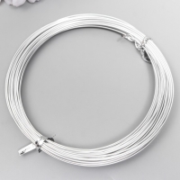 Проволока для творчества d 1мм, серебро рул.10 м Проволока для творчества d 1мм, серебро рул.10 м