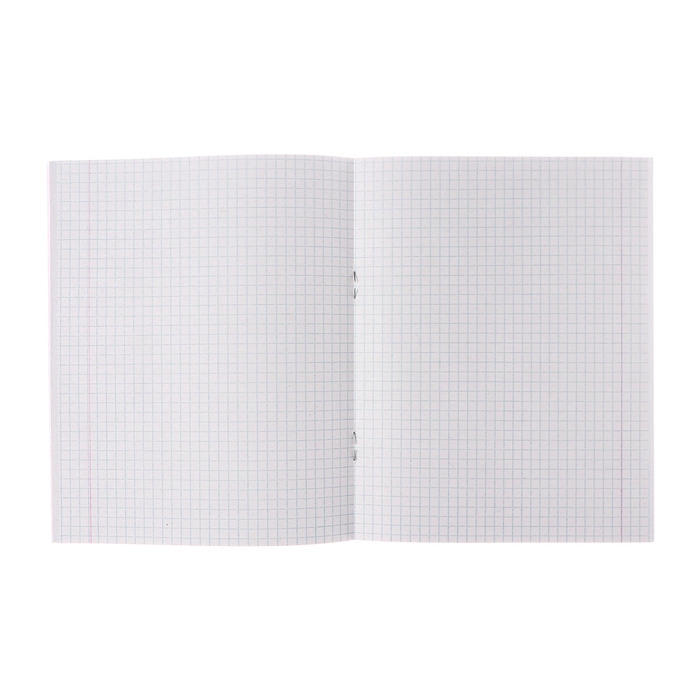 Комплект тетрадей из 5 штук (4 разные + 1 повторяющаяся), 48 листов в клетку Calligrata Комплект тетрадей из 5 штук (4 разные + 1 повторяющаяся), 48 листов в клетку Calligrata "Racing defender", обложка мелованная бумага, блок №2, белизна 75% (серые листы)