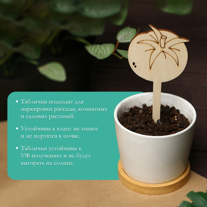 Таблички садовые для маркировки, 12 см, набор 8 шт., дерево, &laquo;Помидор&raquo;, Greengo