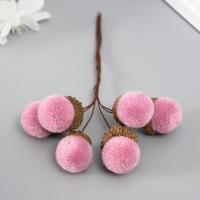 Цветы для декорирования "Хлопчик" лиловый 1 букет= 6 веточек d=2 см 11 см Цветы для декорирования "Хлопчик" лиловый 1 букет= 6 веточек d=2 см 11 см