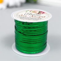 Проволока декоративная для творчества "Металлический блеск" 15 метров МИКС Проволока декоративная для творчества "Металлический блеск" 15 метров МИКС