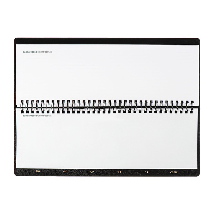 Планинг датированный 2025 года, ESCALADA, 76 листов, на гребне, интегральная обложка, искуственная кожа, тиснение фольгой, блок 70, чёрный, 310 х115мм