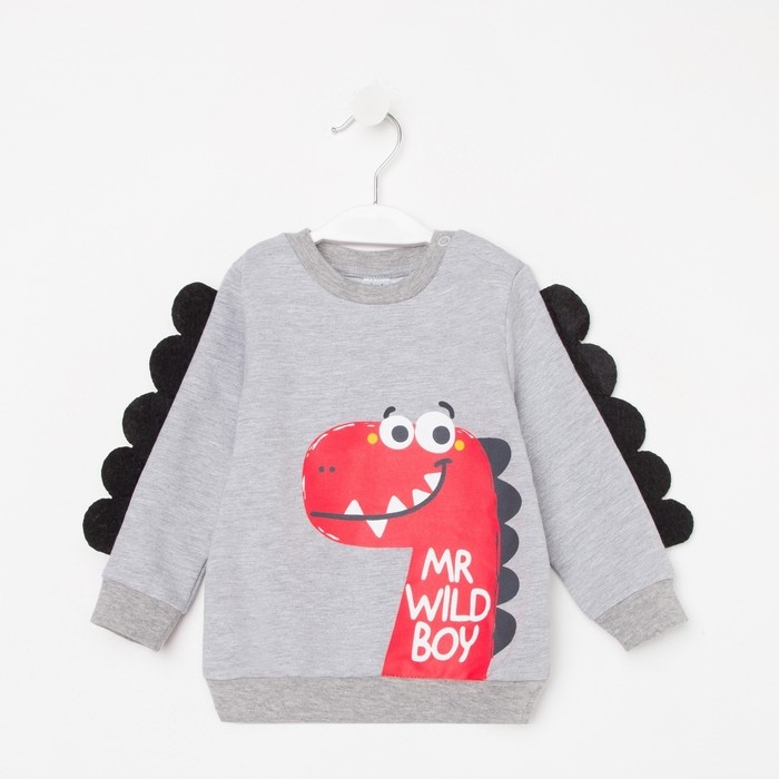 Свитшот детский, цвет серый, рост 74 см