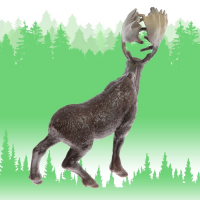 Набор животных &laquo;Лесные звери&raquo;, 4 фигурки