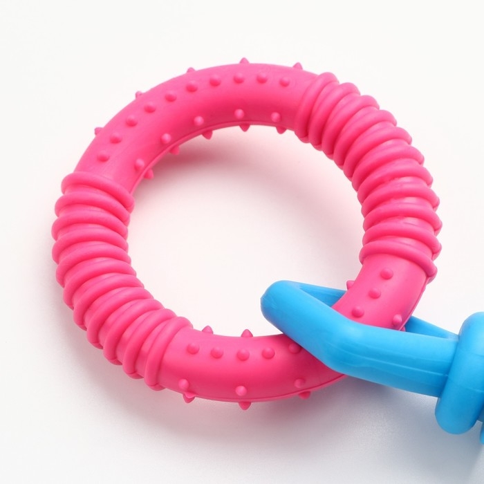 Игрушка жевательная Игрушка жевательная "Всегда вместе!", TPR, 18,5 см, круг/конфета/шестерёнка