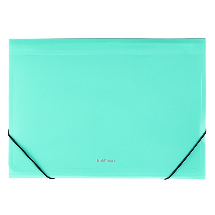 Папка-картотека, А4, 12 отделений, 600 мкм, ErichKrause Папка-картотека, А4, 12 отделений, 600 мкм, ErichKrause "Diagonal Pastel", на резинке, тиснение, микс