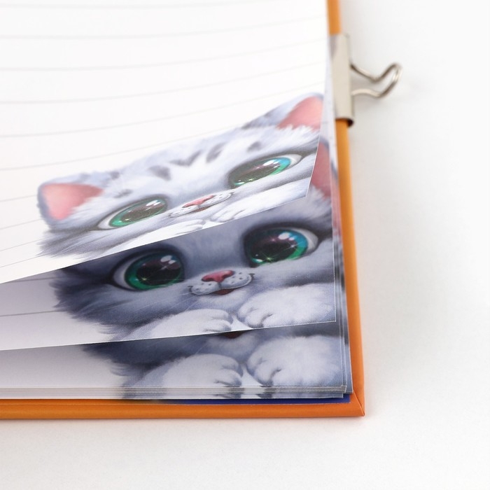 Записная книжка на замочке &laquo;Хорошего котика должно быть много&raquo;, 50 листов.