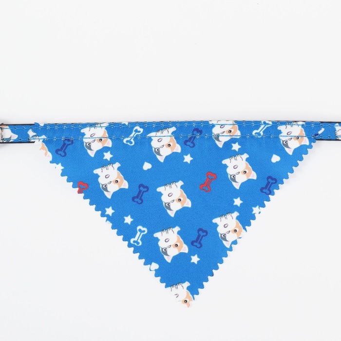 Ошейник с косынкой "Яркая жизнь", 32 х 1 см, синий