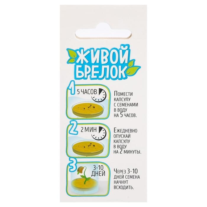 Набор для опытов «Живой брелок», мини-сад, вырасти сам Набор для опытов «Живой брелок», мини-сад, вырасти сам