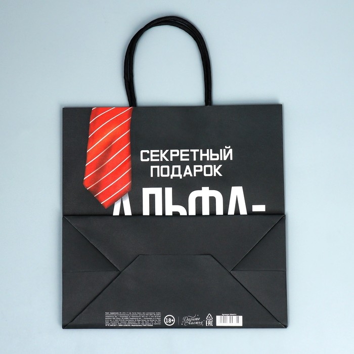 Пакет подарочный крафтовый, упаковка, &laquo;Альфа&raquo;, 22 х 22 х 11 см