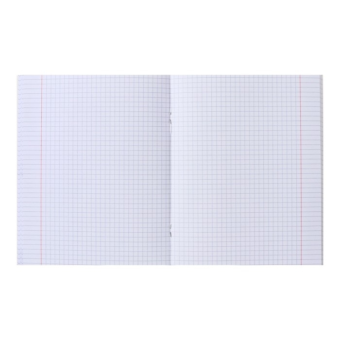 Тетрадь 80 листов в клетку, Тетрадь 80 листов в клетку, "Очаровательные глазки", обложка мелованный картон, матовая ламинация, блок 65 г/м2, МИКС