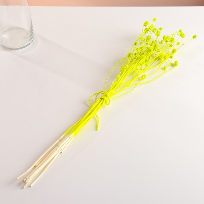 Набор сухоцветов "Эрингиум", банч 5 шт, длина 55 (+/- 6 см), ярко-желтый