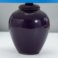 Настольная лампа "Инопланетяне" Е14 15Вт фиолетовый RISALUX Настольная лампа "Инопланетяне" Е14 15Вт фиолетовый RISALUX