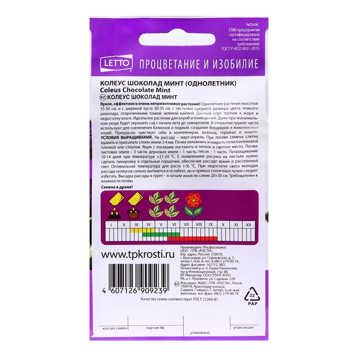 Семена цветов Колеус Семена цветов Колеус "Шоколад Минт", 4 шт