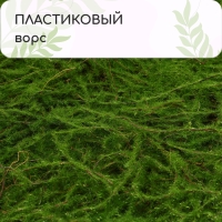 Декоративная панель, 90 &times; 40 см, &laquo;Папоротник&raquo;, Greengo