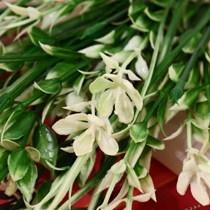 Букет "Флокс растопыренный" 26 см, бело-зелёный