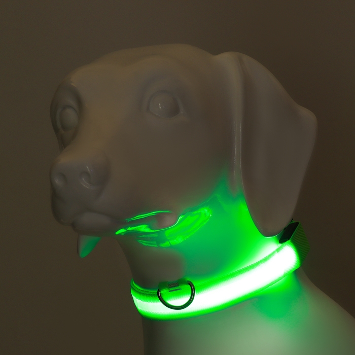Ошейник с подсветкой размер L, ОШ 45-52 х 2,5 см, 3 режима свечения зелёный Ошейник с подсветкой размер L, ОШ 45-52 х 2,5 см, 3 режима свечения зелёный