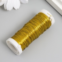 Проволока для творчества "Золото" 30 метров, толщина 0,3 мм 5,5х2,2х2,2 см Проволока для творчества "Золото" 30 метров, толщина 0,3 мм 5,5х2,2х2,2 см