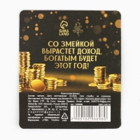 Кошельковый талисман новогодний &laquo;Новый год: Удачи и богатства&raquo;, фигурка, 7 х 10 см,