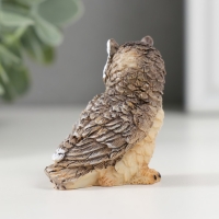 Сувенир полистоун "Серая сова" МИКС 2,3х4,3х4,5 см Сувенир полистоун "Серая сова" МИКС 2,3х4,3х4,5 см