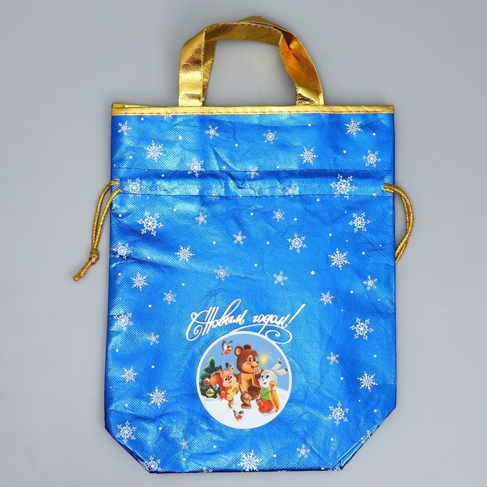 Пакет-мешок из нетканного материала &laquo;Новогодняя компания&raquo;, 25 х 32 см, Новый год