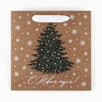 Пакет подарочный новогодний крафтовый квадратный &laquo;Новогодняя красавица&raquo;, 22 х 22 х 11 см, Новый год