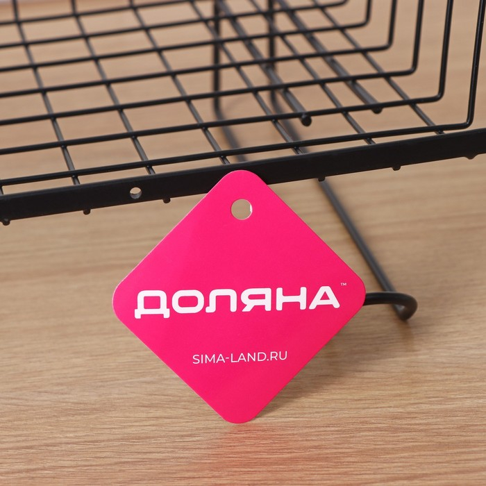 Полка 2-х ярусная Доляна, 4 крючка, 47&times;30&times;14 см, цвет чёрный