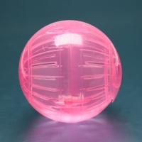 Шар для грызунов "Пижон", 14,5 см, розовый