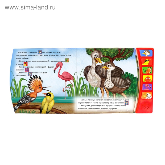 Музыкальная книга «Страусёнок», 12 стр. Музыкальная книга «Страусёнок», 12 стр.