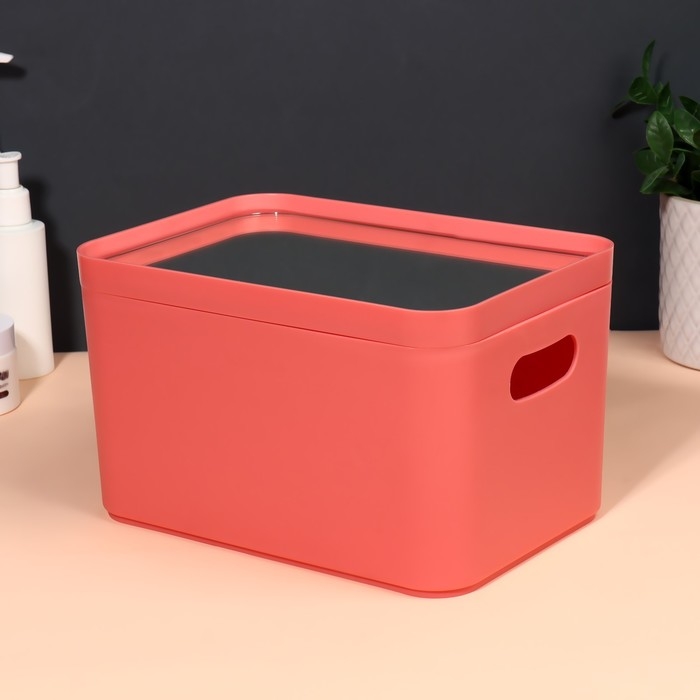 Набор органайзеров для хранения косметических принадлежностей &laquo;Eva&raquo;, 22,8 &times; 15,9 &times; 13,8 см, с зеркалом, цвет розовый